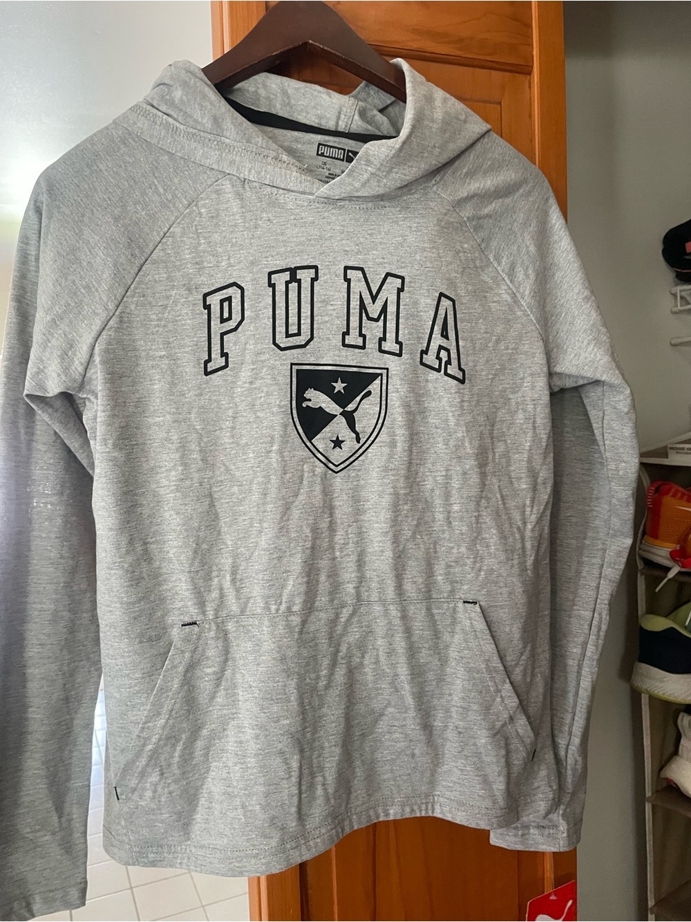 Puma Kids Gray Logo Hoodie Shirt